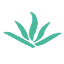 德芙管理系统